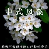 中式风韵 雅致五音理疗静心轻松纯音乐