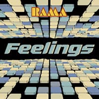 Feelings