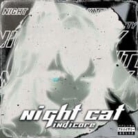 Night cat