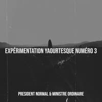 Expérimentation yaourtesque numéro 3