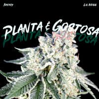 Planta & Gostosa