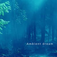 Ambient Dream