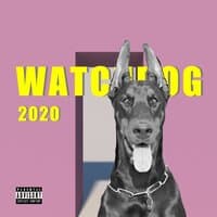 WATCHDOG 2020