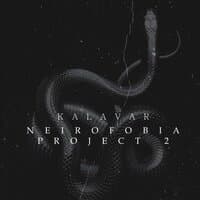 Neurofobia Project 2