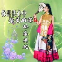 你是我心中最美的花