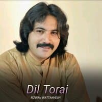 Dil Torai