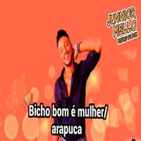 Bicho Bom É Mulher / Arapuca