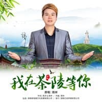 我在茶陵等你