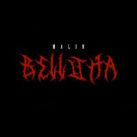 Belluga