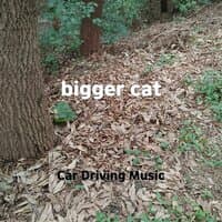 bigger cat