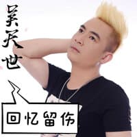 回忆留伤