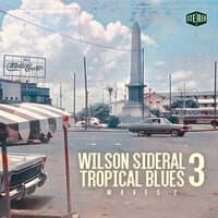 Tropical Blues, Vol. 3 (Waves 2)