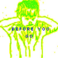 Before You Go