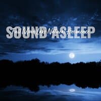 Sound Asleep: Full Moon Lake Natural Ambience