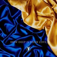 How Deep Is Your Love