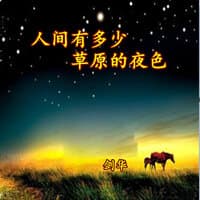 人间有多少草原的夜色