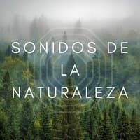 Sonidos de la Naturaleza