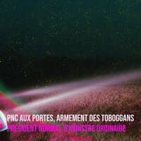 PNC aux portes, armement des toboggans