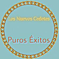 Puros Éxitos