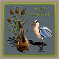 Happy Mandolin