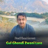 Gul Ghondi Zwani Lare