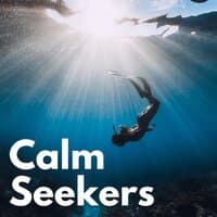 Calm Seekers, Vol. 1