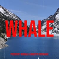 Whale