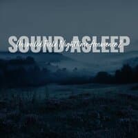 Sound Asleep: Unspoiled Field Nighttime Ambience 2