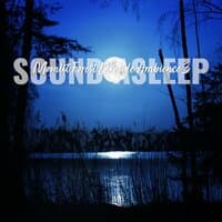 Sound Asleep: Moonlit Forest Lakeside Ambience 3