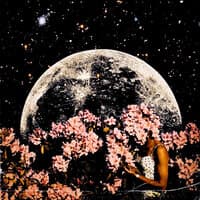 Flowers on the Moon - EP