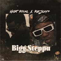 Bigg Steppa