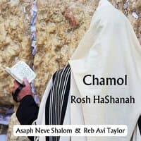 Chamol Rosh Hashanah