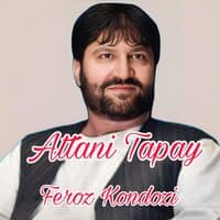 Attani Tapay