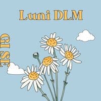 Luni Dlm