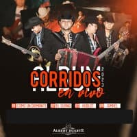 Corridos en Vivo 2023