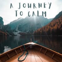 A Journey To Calm