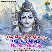 Om Namah Shivaye Har Har Bhole Namha Shivaye