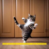 Funny Music for Cats