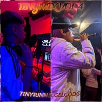 Tinymix Vol.4 - T.E.D.M.B/ Tu Turrito/ N.M. Conocen/ DiscoTK/ T.F.Sufrir