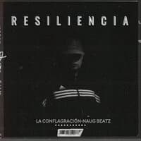 Resiliencia