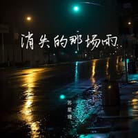 消失的那场雨