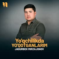 Yo'qchilikda yo'qotganlarim