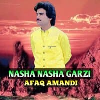 NASHA NASHA GARZI