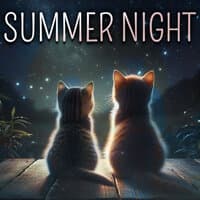 Summer Night