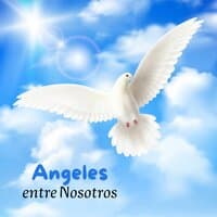 Angeles entre Nosotros