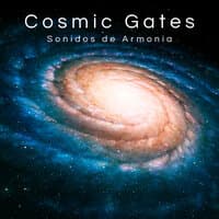 Cosmic Gates