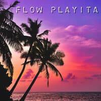 Flow Playita