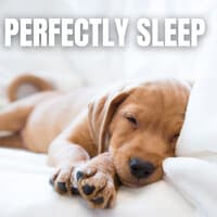 Perfectly Sleep