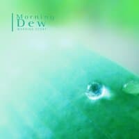 Morning Dew