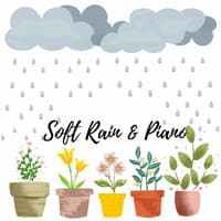 Soft Rain & Piano